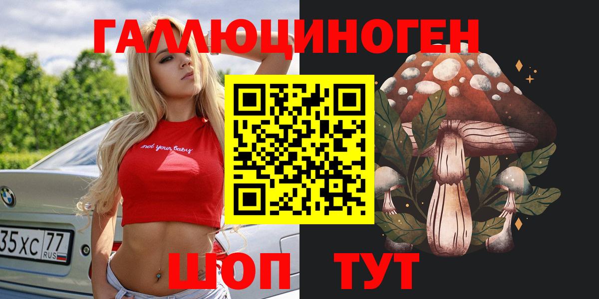 где найти наркотики  Вход с VPN  Тверь  Псилоцибиновые грибы прущие грибы 